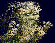 Bard 1 34 Atari